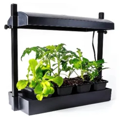 SunBlaster 1600218 T5HO Indoor Canopy Micro Grow Light Garden System With 1, 12-Inch 11-Watt 6400K Strip Light & 1 NanoTech T5 Reflector, Black 7 SunBlaster 1600218 T5HO Indoor Canopy Micro Grow Light Garden System With 1, 12-Inch 11-Watt 6400K Strip Light & 1 NanoTech T5 Reflector, Black -Sunnydaze Decor Store GUEST 02dc1883 af79 4b04 bbf7 467ddc3ca9fc