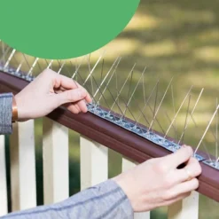 BIRD BLINDER Steel Bird Spikes For Pigeons And Other Small Birds, Silver Set Of 10 7 BIRD BLINDER Steel Bird Spikes For Pigeons And Other Small Birds, Silver Set Of 10 -Sunnydaze Decor Store GUEST 091ca80d 3b93 4adc 8d29 82dec99f808d