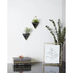 Set Of 2 Trigg Wall Display Planters Black/Brass - Umbra -Sunnydaze Decor Store GUEST 0f0d25f7 24a3 4c29 8ab9 80ca8c9eb32a