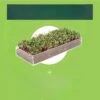 Window Garden Microgreens Grow Kit - Hydroponic Growing Kit 2 Window Garden Microgreens Grow Kit - Hydroponic Growing Kit -Sunnydaze Decor Store GUEST 19840351 e1b8 4202 910e 370b79932274