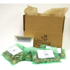 Spring Time Favorites Bulb Collection Set Of 75 Bulbs - Red/Yellow/Blue - Van Zyverden -Sunnydaze Decor Store GUEST 1c92ff0d 6ce8 4ecb 95c8 1348a4314696