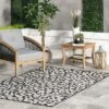 NuLOOM Terenia Leopard Indoor/Outdoor Patio Area Rug 2 NuLOOM Terenia Leopard Indoor/Outdoor Patio Area Rug -Sunnydaze Decor Store GUEST 1cf1ba8e 04b8 436d b02c 9a65185eef06