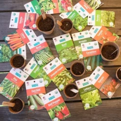 Back To The Roots 20pk Organic USA Herbs And Vegetable Seeds 13 Back To The Roots 20pk Organic USA Herbs And Vegetable Seeds -Sunnydaze Decor Store GUEST 25174905 b564 4663 a98c 918794c8af71