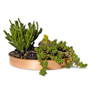 Gardener's Supply Company Small Round Copper Plant Tray, 10" Diameter 3 Gardener's Supply Company Small Round Copper Plant Tray, 10" Diameter