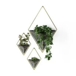 Set Of 2 Trigg Wall Display Planters Black/Brass - Umbra -Sunnydaze Decor Store GUEST 28f79776 2314 40ef 9bea e6c7165efb25
