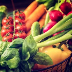 Back To The Roots 20pk Organic USA Herbs And Vegetable Seeds 12 Back To The Roots 20pk Organic USA Herbs And Vegetable Seeds -Sunnydaze Decor Store GUEST 32a4f4b8 1a47 4ba6 be5a 5d7632f360ad