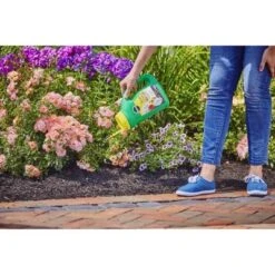 Miracle-Gro Shake 'N Feed All Purpose Continuous Release Plant Food 4.5lb 10 Miracle-Gro Shake 'N Feed All Purpose Continuous Release Plant Food 4.5lb -Sunnydaze Decor Store GUEST 336d009d b5ce 4a76 beec 25c002711f01