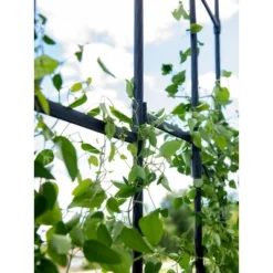 Gardener's Supply Company | Titan Half Arch | Decorative Garden Arch For Backyard, Patio, Courtyard | Durable Weatherproof Steel Support For Climbing 7 Gardener's Supply Company | Titan Half Arch | Decorative Garden Arch For Backyard, Patio, Courtyard | Durable Weatherproof Steel Support For Climbing -Sunnydaze Decor Store GUEST 39a109ed b1f3 4352 b330 8c54f3689f81