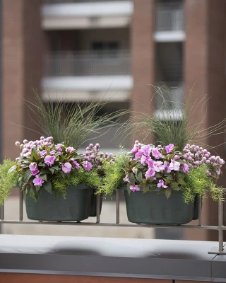 Self-Watering Saddle Railing Planter, 16" 4 Self-Watering Saddle Railing Planter, 16" - Image 2