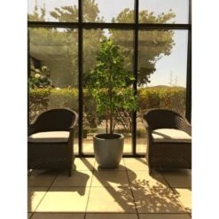 17" Kante Lightweight Concrete Modern Seamless Outdoor Planter Gray - Rosemead Home & Garden, Inc. 11 17" Kante Lightweight Concrete Modern Seamless Outdoor Planter Gray - Rosemead Home & Garden, Inc. -Sunnydaze Decor Store GUEST 40faec83 3524 4613 ad51 3c842925bb80