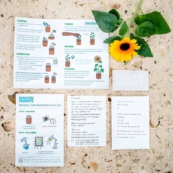 Back To The Roots Organic Sunflower Grow Kit 10 Back To The Roots Organic Sunflower Grow Kit -Sunnydaze Decor Store GUEST 4135958c b71c 4ba1 beff 5c992cca4459
