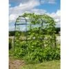 Gardener’s Supply Company Extra Tall Garden Arch Arbor 80in Titan Squash Tunnel | Lightweight Metal Garden Arch Trellis Plant Stand For Climbing Vines