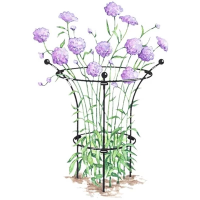 Gardener's Supply Company Essex Plant Support | Sturdy Metal Plants Support Frame For Peonies, Rose Ornamental Flower Garden Cage | Natural Bouquet 3 Gardener's Supply Company Essex Plant Support | Sturdy Metal Plants Support Frame For Peonies, Rose Ornamental Flower Garden Cage | Natural Bouquet