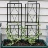 Sunnydaze Decor Sunnydaze Contemporary Metal Wire Garden Trellis For Climbing Plants And Flowers - 30" H - Black - 2-Pack -Sunnydaze Decor Store GUEST 5322f238 b970 4e39 b174 80e7dafe988e