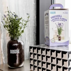 Back To The Roots Organic Lavender Grow Kit 15 Back To The Roots Organic Lavender Grow Kit -Sunnydaze Decor Store GUEST 5c28df74 fc68 4cf3 9e12 3963a13766f1