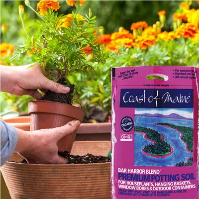 Coast Of Maine OMRI Listed Bar Harbor Blend Organic Compost Potting Soil Blend For Container Gardens And Flower Plant Pots, 16 Quart Bag 3 Coast Of Maine OMRI Listed Bar Harbor Blend Organic Compost Potting Soil Blend For Container Gardens And Flower Plant Pots, 16 Quart Bag