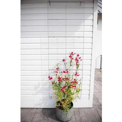 Gardener's Supply Company Chicken Wire Wall Trellis With Wall Brackets | 84" H X 30" W Steel Garden Plant Support Panel For Vining And Climbing 4 Gardener's Supply Company Chicken Wire Wall Trellis With Wall Brackets | 84" H X 30" W Steel Garden Plant Support Panel For Vining And Climbing - Image 2