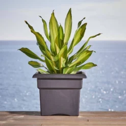 Bloem Veranda Deck Box Square Planter
