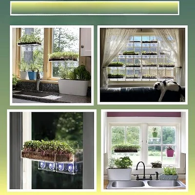 Window Garden Microgreen Organic Sunflower 3 Pack Refill 3 Window Garden Microgreen Organic Sunflower 3 Pack Refill