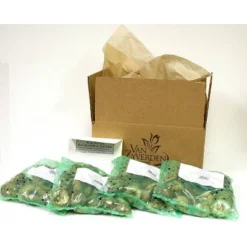 Sunnydaze Decor Store -Sunnydaze Decor Store GUEST 71fb1e26 76a4 4d1f a5e2 4127106e163d