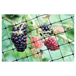 Sunnydaze Decor Store -Sunnydaze Decor Store GUEST 874b68fa f0fa 422f ae82 6d98009bd341