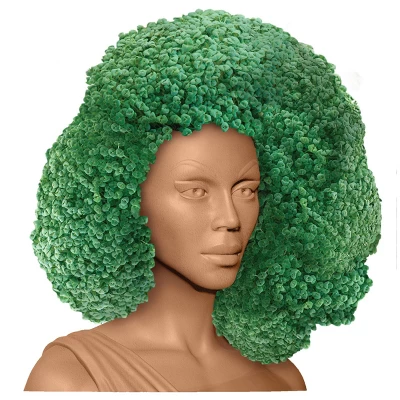 NECA RuPaul Chia Pet - Signed 3 NECA RuPaul Chia Pet - Signed