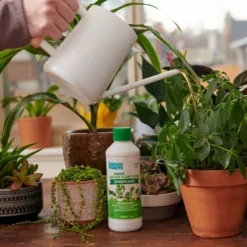 Back To The Roots All Purpose Plant Food 1.5lb -Sunnydaze Decor Store GUEST 8fbcf9d4 ba24 4538 b5cb ed69acfa3bc0