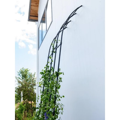 Gardener's Supply Company | Titan Half Arch | Decorative Garden Arch For Backyard, Patio, Courtyard | Durable Weatherproof Steel Support For Climbing 3 Gardener's Supply Company | Titan Half Arch | Decorative Garden Arch For Backyard, Patio, Courtyard | Durable Weatherproof Steel Support For Climbing