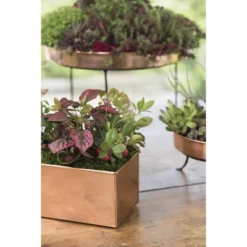 Gardener's Supply Company Tall Rectangular Copper Plant Tray | 18" X 5" X 4" For Plant Flower Succulent Display -Sunnydaze Decor Store GUEST a32d9883 c243 463e b4ef 247254eb5dad