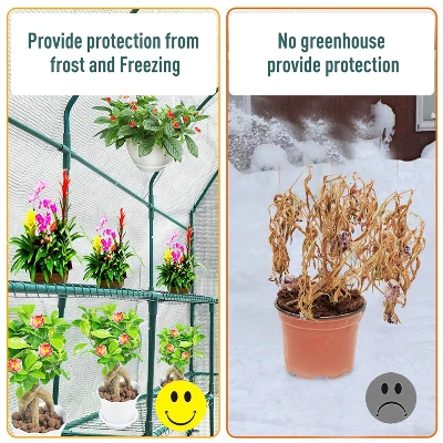 Outsunny 7' X 3' X 7' Outdoor Walk-In Greenhouse, Plant Nursery With Roll-up Windows, PE Cover, And 3 Wire Shelves 9 Outsunny 7' X 3' X 7' Outdoor Walk-In Greenhouse, Plant Nursery With Roll-up Windows, PE Cover, And 3 Wire Shelves - Image 7