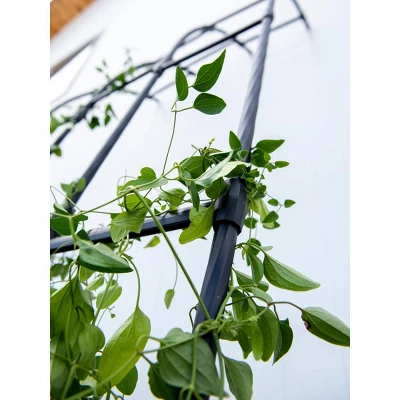 Gardener's Supply Company | Titan Half Arch | Decorative Garden Arch For Backyard, Patio, Courtyard | Durable Weatherproof Steel Support For Climbing 4 Gardener's Supply Company | Titan Half Arch | Decorative Garden Arch For Backyard, Patio, Courtyard | Durable Weatherproof Steel Support For Climbing - Image 2