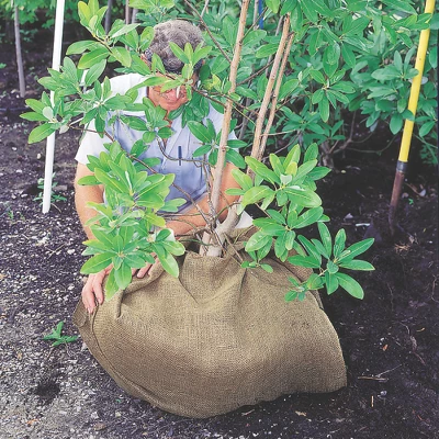 DeWitt NAT4300 4 X 300 Ft All Natural Organic Biodegradable Paper Mulch Garden Weed Control Barrier 6 DeWitt NAT4300 4 X 300 Ft All Natural Organic Biodegradable Paper Mulch Garden Weed Control Barrier - Image 4