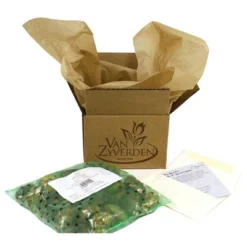 10ct Hyacinths Sweet Invitation Bulbs - Van Zyverden -Sunnydaze Decor Store GUEST bc77edb8 ae2e 4f65 80b4 613a97ad577f 1