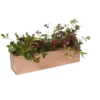 Gardener's Supply Company Tall Rectangular Copper Plant Tray | 18" X 5" X 4" For Plant Flower Succulent Display -Sunnydaze Decor Store GUEST c105bb7b 739c 4186 ae02 06006262a2e6