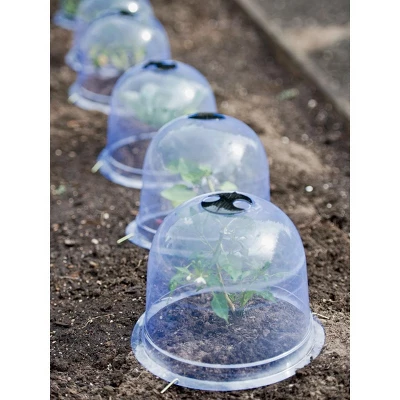 Medium Garden Cloches, Set Of 6 3 Medium Garden Cloches, Set Of 6
