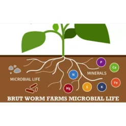 Brut Worm Farms All Organic Fertilizer Worm Castings Filled With Nutrients And Minerals For A Variety Of Indoor And Outdoor Plants, 30 Pounds (2 Pack) 7 Brut Worm Farms All Organic Fertilizer Worm Castings Filled With Nutrients And Minerals For A Variety Of Indoor And Outdoor Plants, 30 Pounds (2 Pack) -Sunnydaze Decor Store GUEST c5ae6098 fe14 45f4 9a92 da8a7237698f
