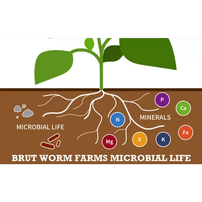 Brut Worm Farms All Organic Fertilizer Worm Castings Filled With Nutrients And Minerals For A Variety Of Indoor And Outdoor Plants, 30 Pounds (2 Pack) 5 Brut Worm Farms All Organic Fertilizer Worm Castings Filled With Nutrients And Minerals For A Variety Of Indoor And Outdoor Plants, 30 Pounds (2 Pack) - Image 3