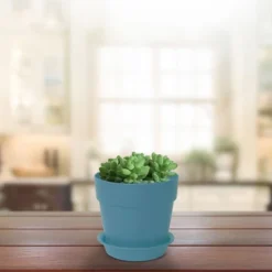 Unique Bargains Plastic Home Garden Gardening Round Design Plant Flower Holder Planter Pot Tray 9 Unique Bargains Plastic Home Garden Gardening Round Design Plant Flower Holder Planter Pot Tray -Sunnydaze Decor Store GUEST ce5ca7af c917 4e28 aa33 dec71bd58f4e