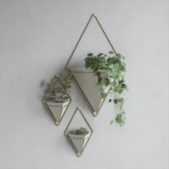 Set Of 2 Trigg Wall Display Planters White/Brass - Umbra -Sunnydaze Decor Store GUEST ceab7996 c753 4e4e be58 b47ab3ad22ea