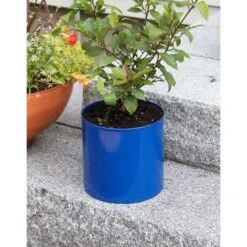 ACHLA Designs 8" Wide Cylinder Planter Pot Galvanized Steel French Blue 7 ACHLA Designs 8" Wide Cylinder Planter Pot Galvanized Steel French Blue -Sunnydaze Decor Store GUEST d1851a4c 2c3d 4929 91be 117525f31829