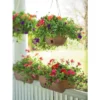 30 2 X 6 Railing Planter - Gardener's Supply Company 2 30 2 X 6 Railing Planter - Gardener's Supply Company -Sunnydaze Decor Store GUEST d5c8a183 3d60 4c7f 8863 ff70e1067811