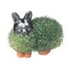 Joseph Enterprises, Inc Chia Pet Grass Planter: Bunny 2 Joseph Enterprises, Inc Chia Pet Grass Planter: Bunny -Sunnydaze Decor Store GUEST dd9cfc9b 8f72 493b ae8d 1f87b8194103
