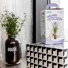 Back To The Roots Organic Lavender Grow Kit -Sunnydaze Decor Store GUEST df204d46 2d0c 4a8b 879f 9e028abe9c64