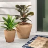 Earthenware Weathered Indoor/Outdoor Planter Pot - Thresholdâ„¢ Designed With Studio McGee 1 Earthenware Weathered Indoor/Outdoor Planter Pot - Thresholdâ„¢ Designed With Studio McGee -Sunnydaze Decor Store GUEST e8535bcb 0331 4acc 8d5c 2c4ed39d2fd4