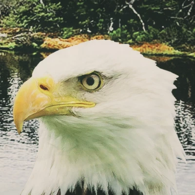 Commonwealth Seascapes Light Filtering Enhance Living Space With Satiny Look Grommet Outdoor Panel Pair Indigo 5 Commonwealth Seascapes Light Filtering Enhance Living Space With Satiny Look Grommet Outdoor Panel Pair Indigo - Image 3