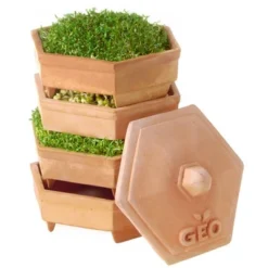 Tribest GEO Terradisiena 4-Tier Terracotta Sprouter – Brown