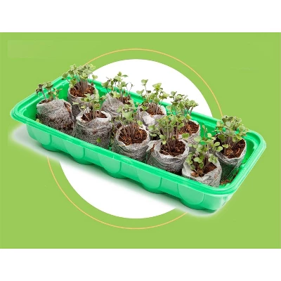 Window Garden Organic Wheatgrass Grow N Serve Kit 4 Window Garden Organic Wheatgrass Grow N Serve Kit - Image 2