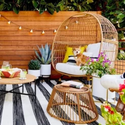 Southport Patio Egg Chair - Opalhouse™ -Sunnydaze Decor Store GUEST f5a407fb 4164 4aba 9848 bf1735303146