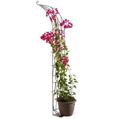 VegTrug™ Slimline Half Arch 5 VegTrug™ Slimline Half Arch - Image 3